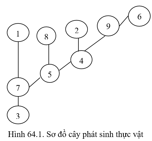 Giải vá» bà i táºp Sinh há»c 9 | Giải VBT Sinh há»c 9