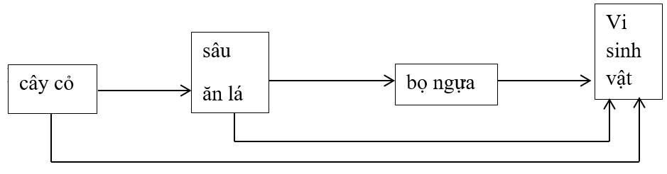 Giải vá» bà i táºp Sinh há»c 9 | Giải VBT Sinh há»c 9