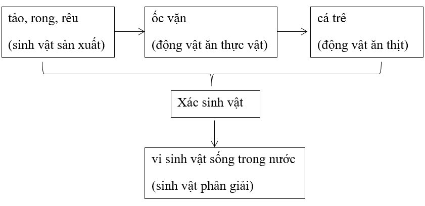 Giáº£i vá» bÃ i táº­p Sinh há»c 9 | Giáº£i VBT Sinh há»c 9