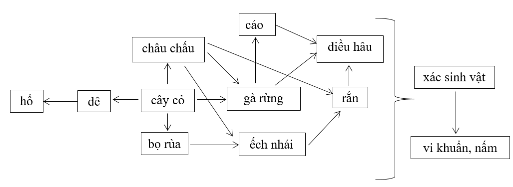 Giải vá» bà i táºp Sinh há»c 9 | Giải VBT Sinh há»c 9