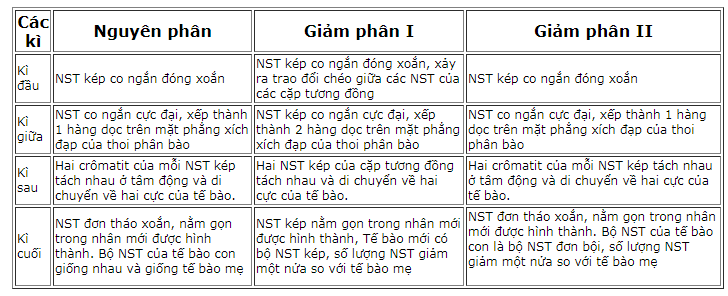 Các quá trình phần bào Các quá trình phần bào