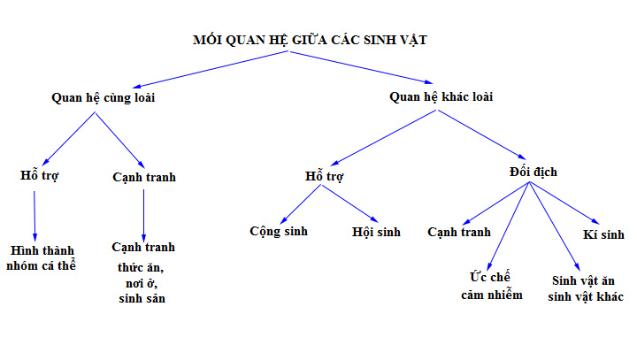 Mối quan hệ giữa các sinh vật