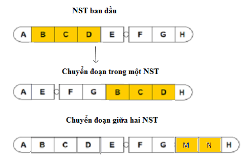 Đột biến chuyển đoạn