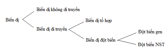 biến dị biến dị