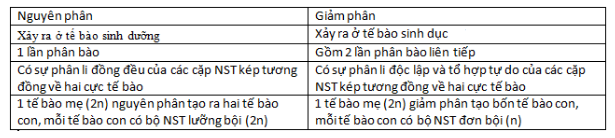 So sánh nguyên phân và giảm phân