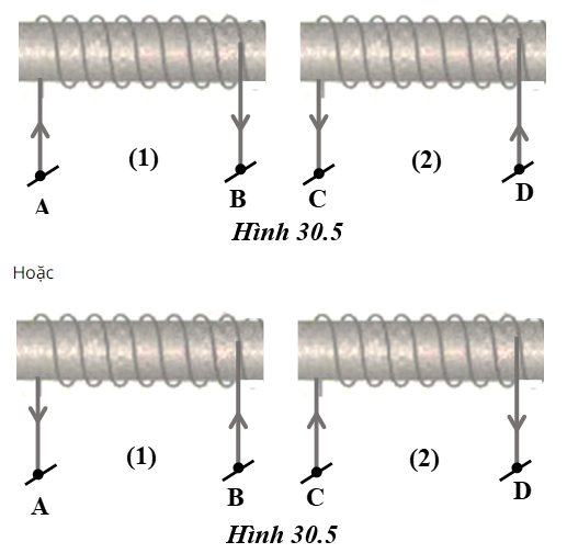 hình 30.5 - bài 30 trang 86 VBT vật lí 7