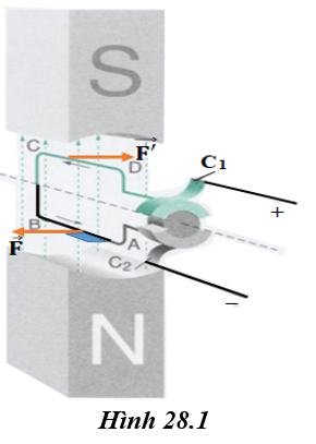 hình 28.1 - bài 28 trang 80 VBT vật lí 7