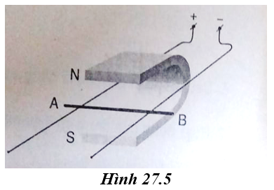 hình 27.5 - bài 27 trang 79 VBT vật lí 7