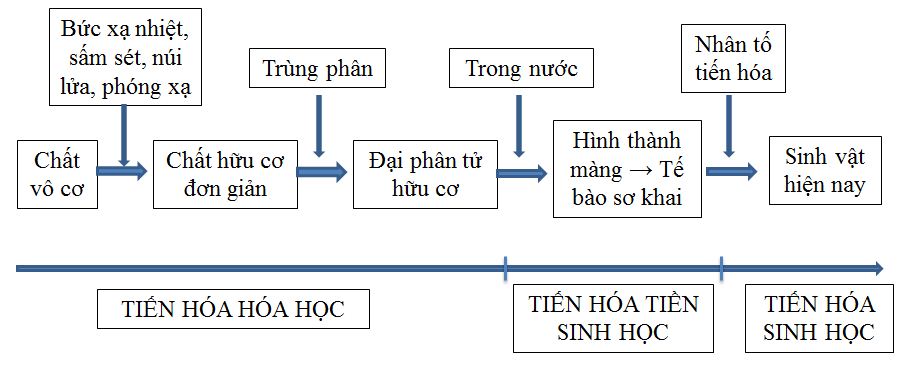 c2-Tr180-SGK-sinh-12-nang-cao