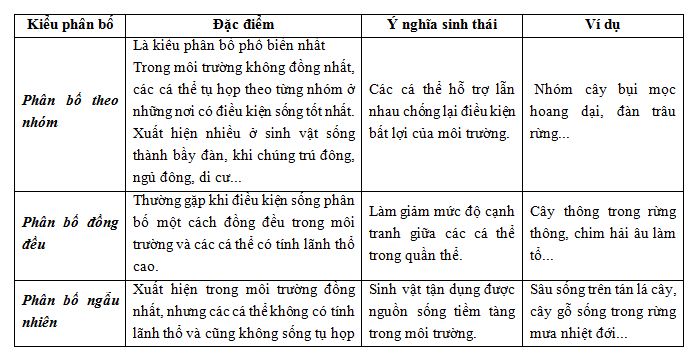 Kiểu phân bố trong quần thể