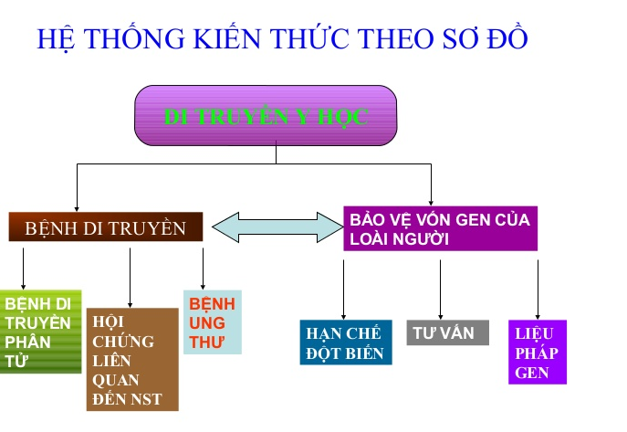 Lý thuyết Sinh học 12 Bài 21: Di truyền y học | Lý thuyết Sinh học 12 đầy đủ, chi tiết nhất