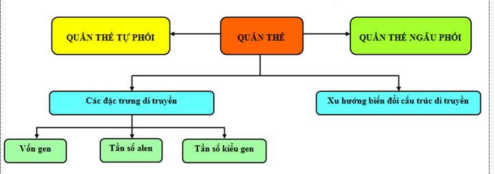 Lý thuyết Sinh học 12 Bài 16: Cấu trúc di truyền của quần thể | Lý thuyết Sinh học 12 đầy đủ, chi tiết nhất