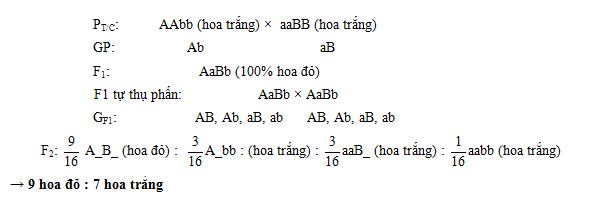 Tương tác bổ trợ, bổ sung