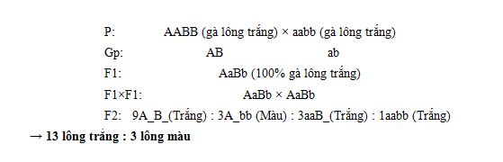 Tương tác át chế