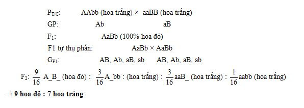 Tương tác bổ trợ, bổ sung