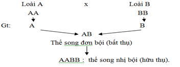 Cơ chế dị đa bội