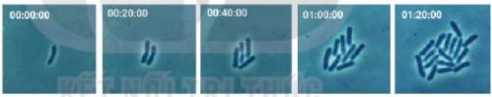 A picture containing text, outdoorDescription automatically generated