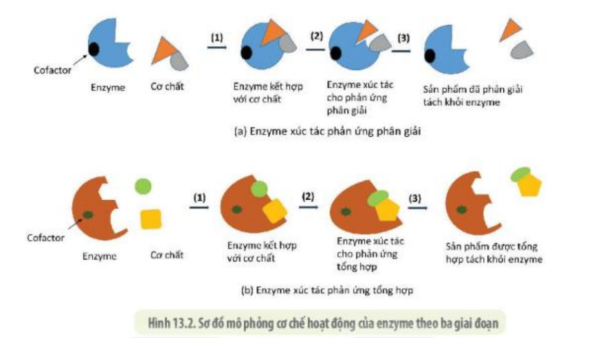 ChartDescription automatically generated