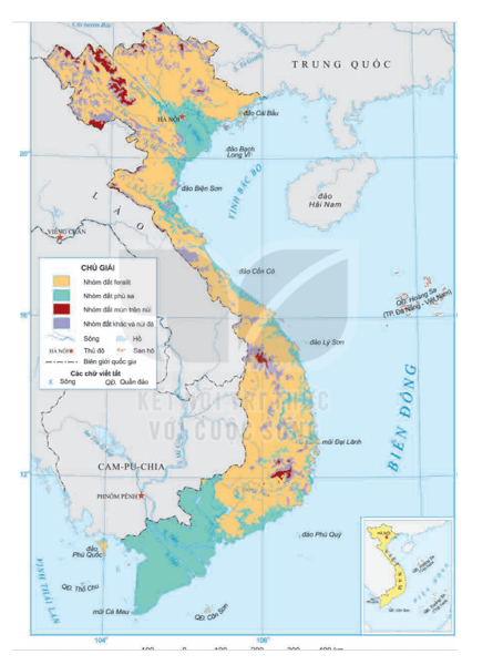 Phân tích đặc điểm và giá trị sử dụng của đất phù sa trong sản xuất nông nghiệp thủy sản