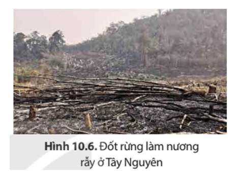 Đọc thông tin và quan sát hình ảnh trong mục 2 hãy chứng minh tính cấp thiết