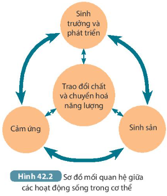 DiagramDescription automatically generated