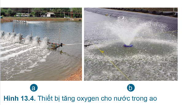 A picture containing text, outdoor, water sport, sport    Description automatically generated