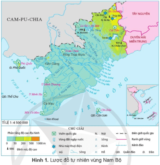 Lịch Sử và Địa Lí lớp 4 Cánh diều Bài 18: Thiên nhiên vùng Nam Bộ (ảnh 4)